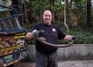 owner Jim Adams holding a snake